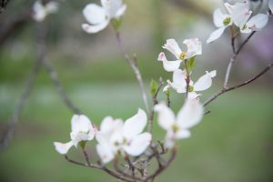 NATURE--9